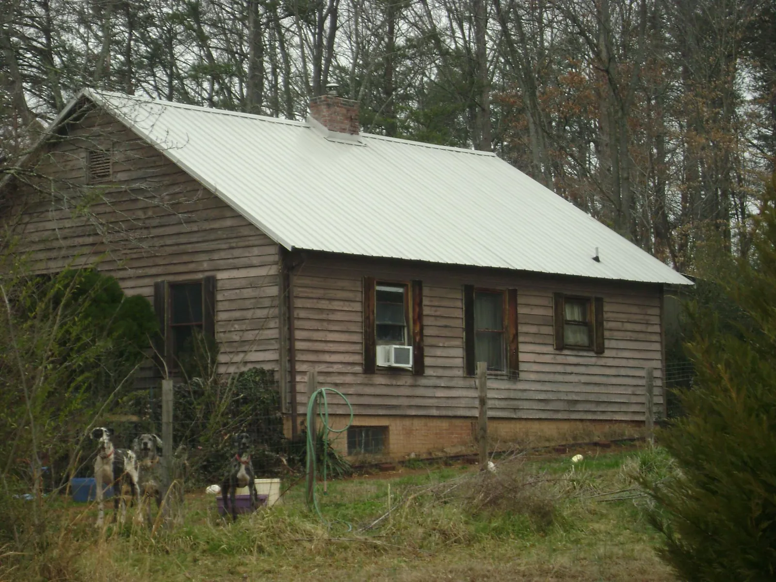White metal roof on an old wood sided farmhouse, from a Asphalt Shingle Roof Repair job in Dike